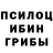 Псилоцибиновые грибы ЛСД HoP PrP