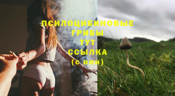 экстази Абаза