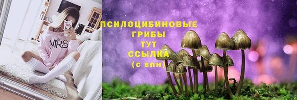экстази Абаза